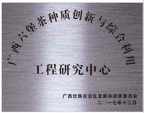 雙星閃耀 創(chuàng)新驅(qū)動(dòng)——廣西梧州六堡茶股份榮獲科技創(chuàng)新突出貢獻(xiàn)與文化品牌建設(shè)雙料殊榮